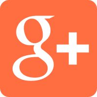 Google+ icon